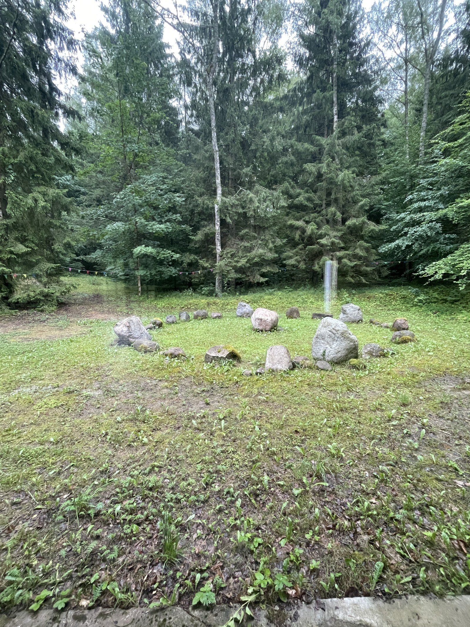 A quiet circle in nature reflecting relational learning and presence.